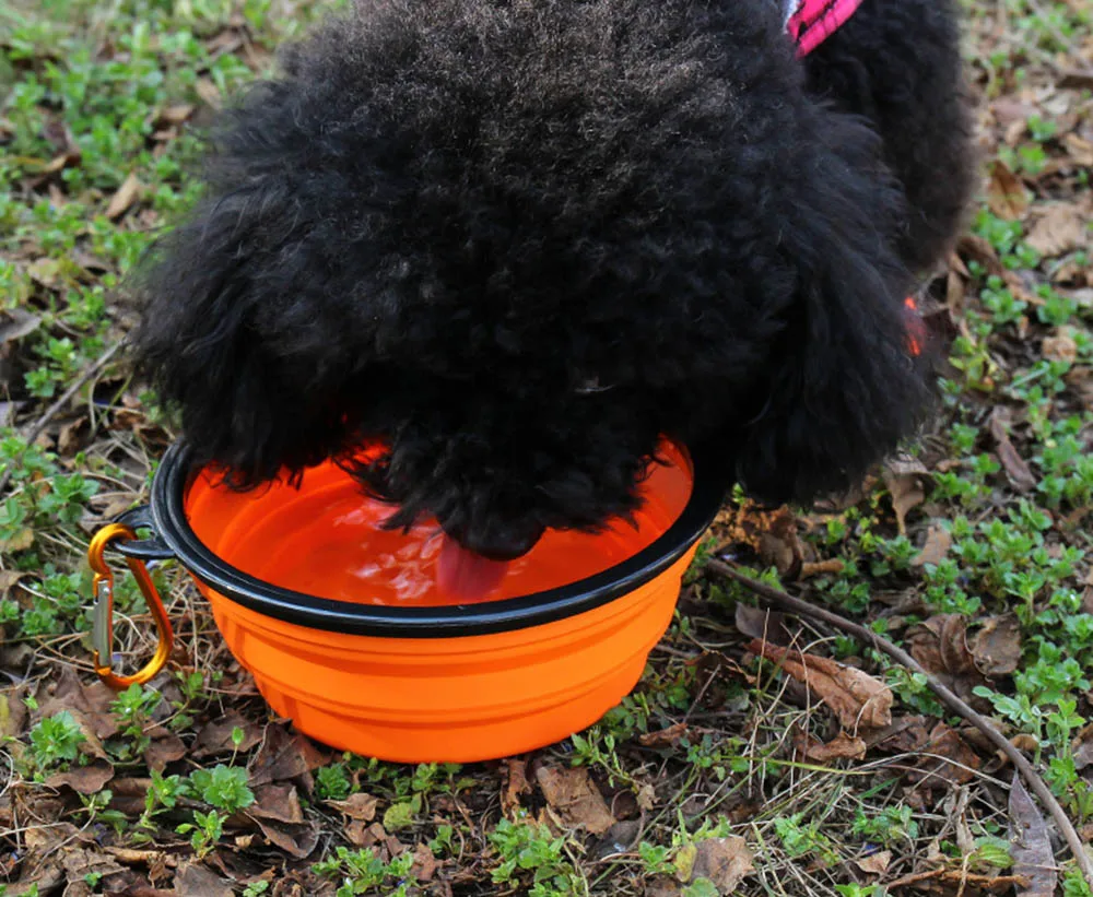 Collapsible Pet Silicone Dog Food Water Bowl Outdoor Camping Travel Portable Folding Supplies Dishes with Carabiner