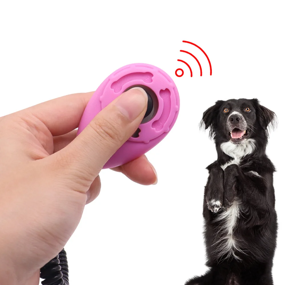 Dog supplies, dog trainers, special marker for pet behavior correction instructions