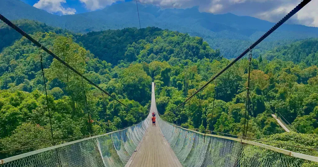 Jembatan Gantung Situ Gunung Menakjubkan Pengalaman di Jawa Barat