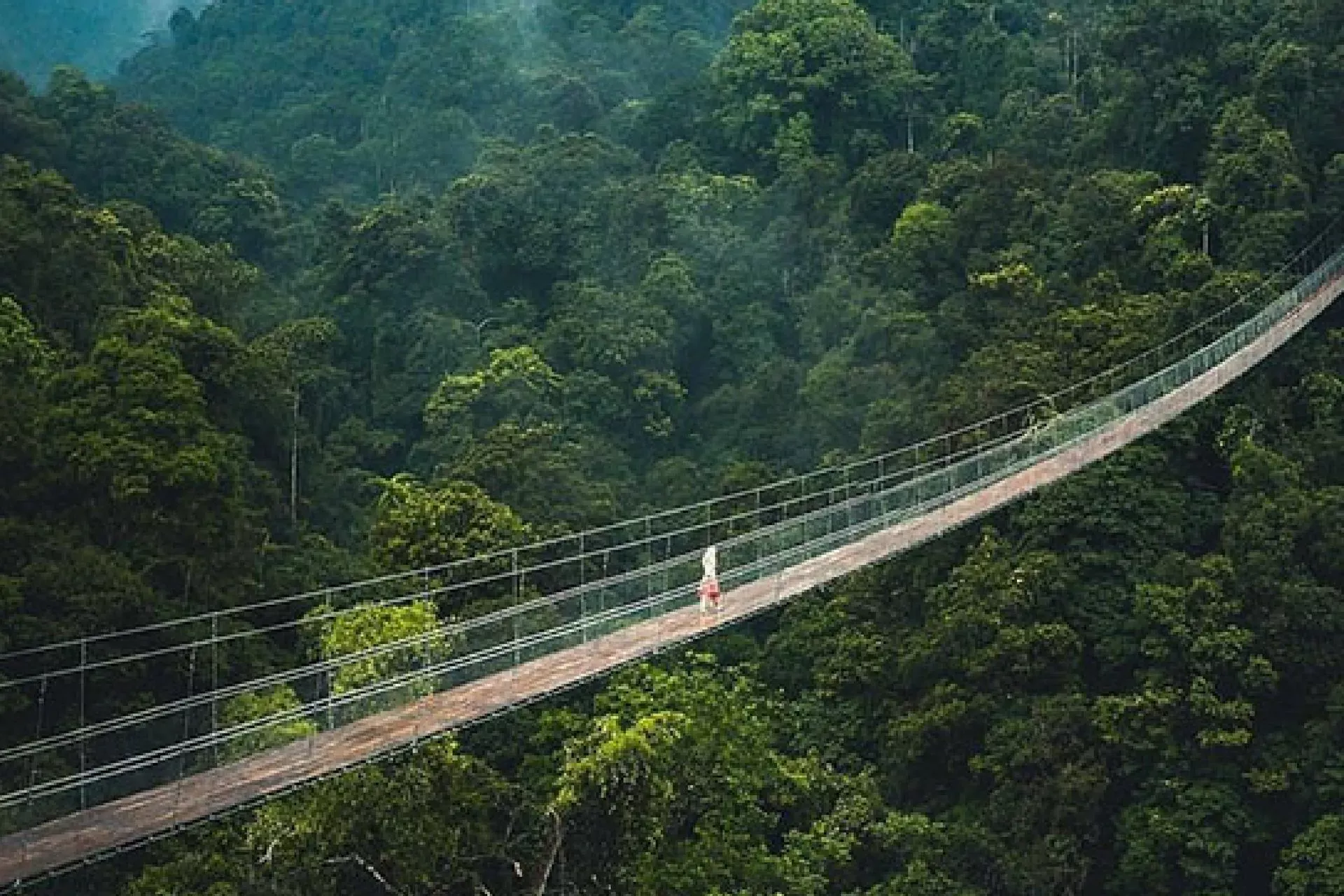 Jembatan Gantung Situ Gunung Menakjubkan Pengalaman di Jawa Barat